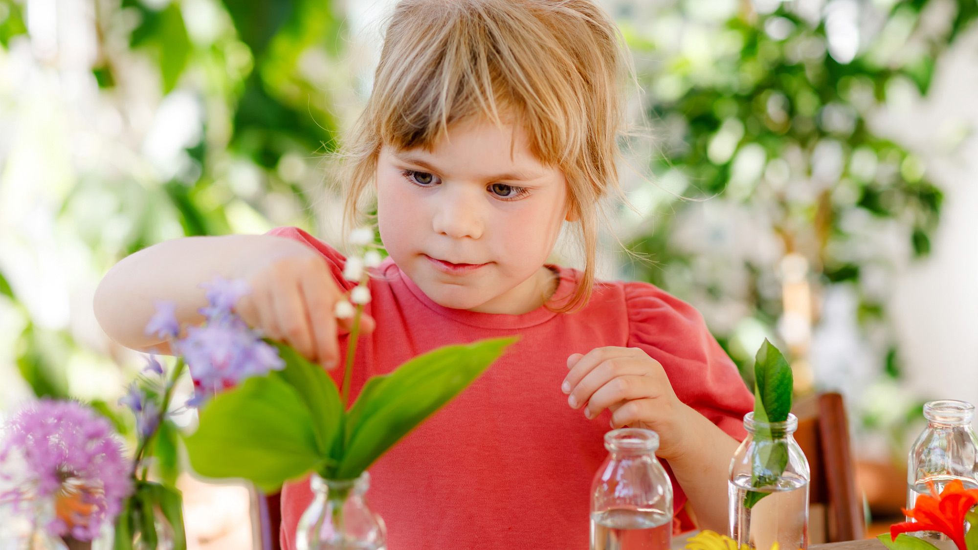 STEM Activity: Exploring Colors in Nature