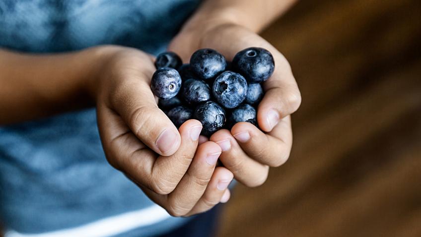 A child’s cupped hands holding blueberries