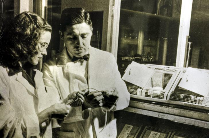 Alfred and Helen Free work together in a laboratory