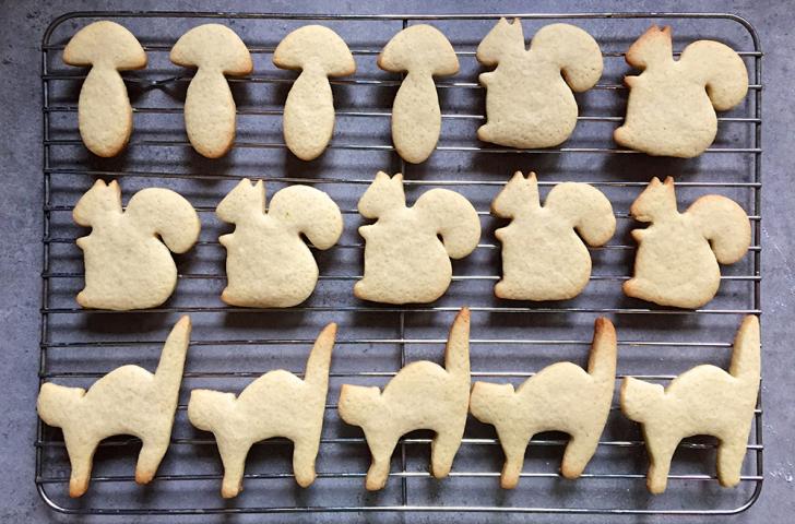 Shortbread crackers in the shape of mushrooms, squirrels and cats cool on a wire rack after baking