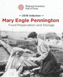 Mary Engle Pennington graphic