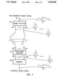 U.S. Patent No. 5,345,599