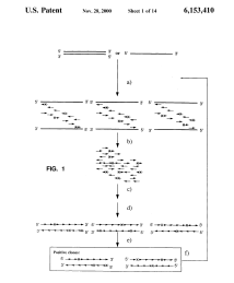 U.S. Patent No. 6,153,410