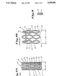 U.S. Patent No. 5,195,984