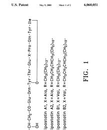 U.S. Patent No. 6,060,051