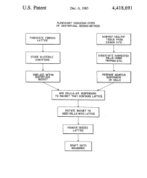 U.S. Patent No. 4,418,691