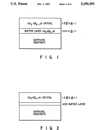U.S. Patent No. 5,290,393