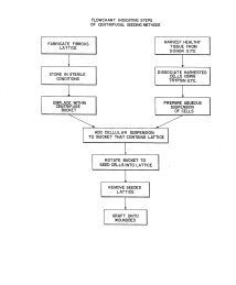 U.S. Patent No. 4,418,691
