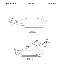 U.S. Patent No. 5,645,081