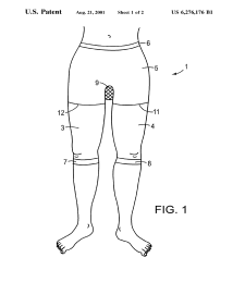 U.S. Patent No. 6,276,176