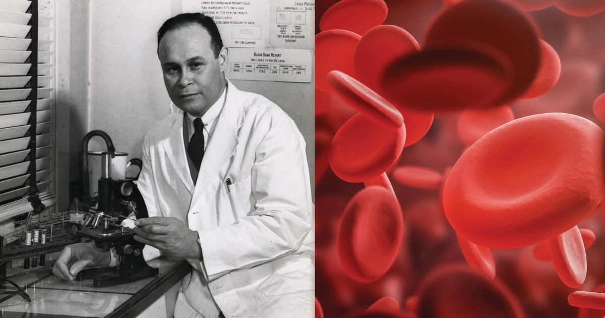 Charles Richard Drew: A Lasting Legacy | National Inventors Hall of Fame®